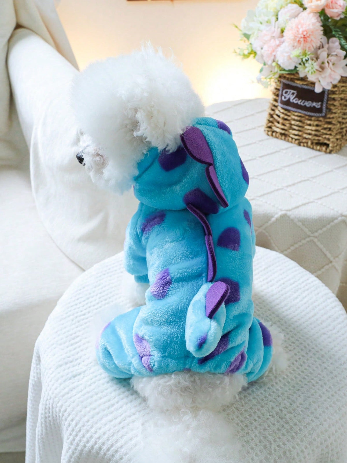 Pet Clothes