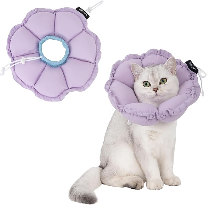 Pet Recovery Supplies