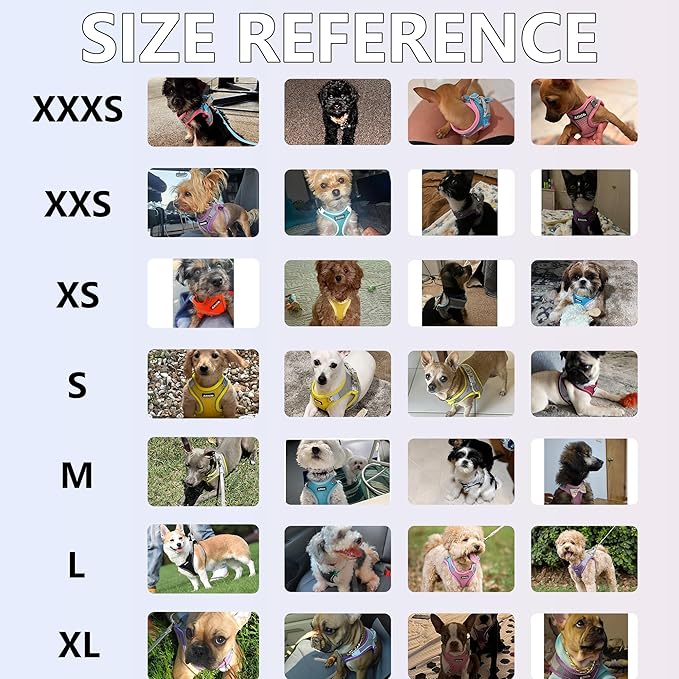 AIITLE Escape Proof Dog Harness