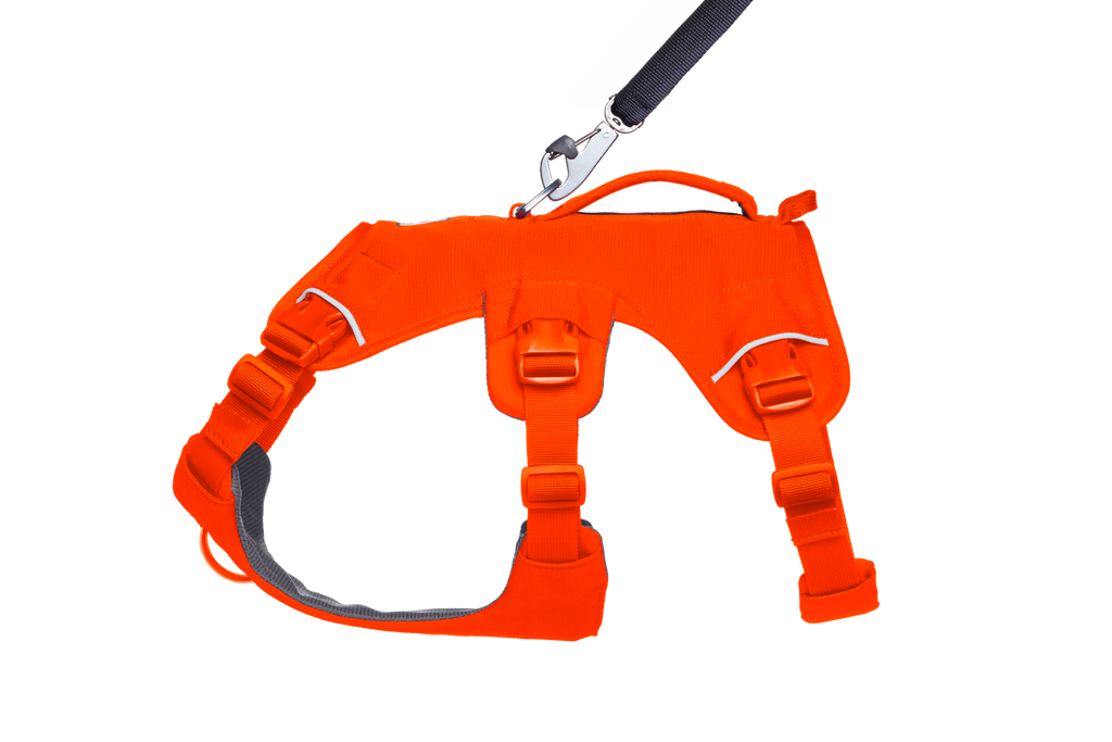 Web Master™ Dog Harness with Handle